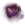 Celestial Starburst